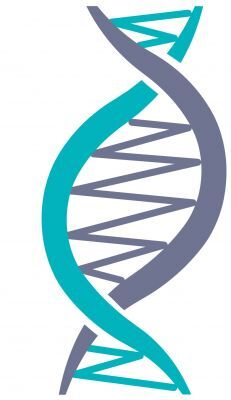 Other Genetic Tests 